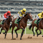 Understanding parimutuel betting for horse racing in India